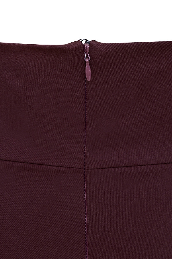 Clothing : Bodycon Dresses : 'Jaslyn' Raisin Stretch Crepe + Lace Mini Dress