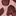 img-animal-print.jpg