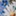 img-blue-daisy-print.jpg