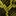 img-green-snakeskin-print.jpg