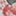 img-italian-rose-print.jpg