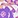 img-violet-floral-print.jpg